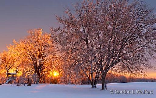 Iced Trees At Sunrise_21203-4.jpg - Photographed near Smiths Falls, Ontario, Canada.